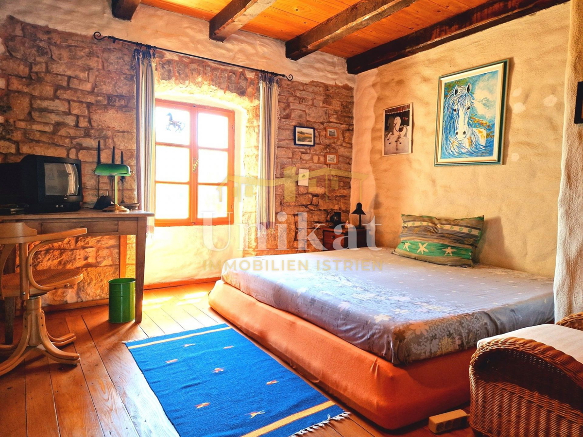 Avtentično posestvo s kamnito hišo in velikim zemljiščem